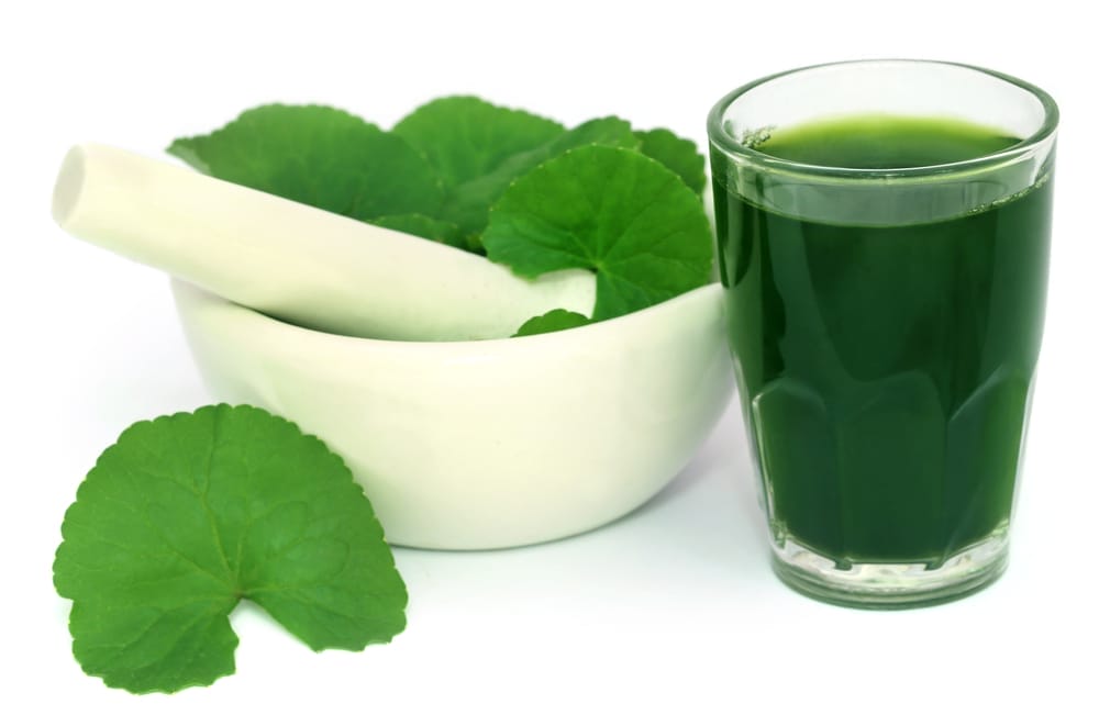 gotu kola bladeren in een vijzel, naast een cocktail gemaakt van gotu kola bladeren